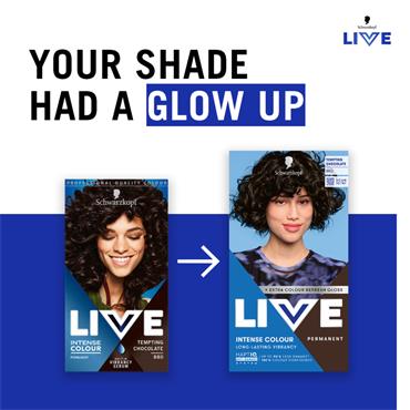 Live Intense Colour Tempting Chocolate 880