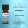 Tisserand Eucalyptus Essential Oil 9ml
