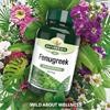 Natures Aid Fenugreek 500mg 90 capsules