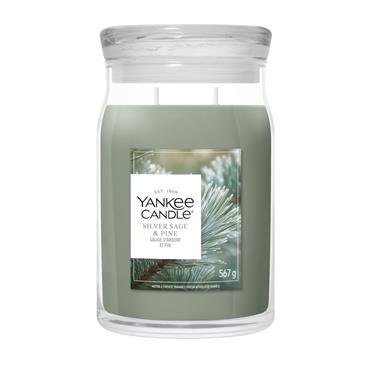 Yankee Large Candle Silver Sage And Pine