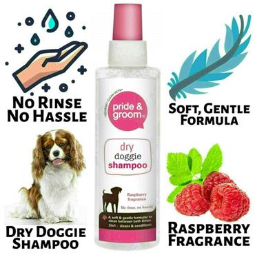 Pride & Groom Dry Doggie Shampoo