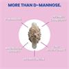 Bladapure D mannose 60 caps