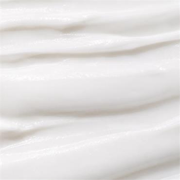 BBold Moisture Mist