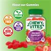 Chewy Vites Probio Support 60