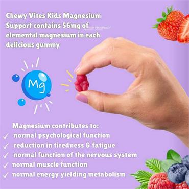 Chewy Vites Kids Magnesium 60