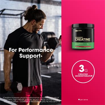 Optimum Nutrition Creatine Powder Fruit Pun 247.5g