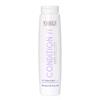 Voduz Anti Yellow Conditioner