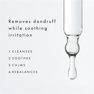 Voduz Re Balancing Bundle