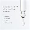 Voduz Re Balancing Bundle