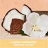Hawaiian Tropic Silk Hydration Weightless Oil SPF15