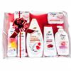 Dove Large Hamper