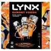 Lynx Trio Sunset Giftset