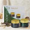 Green Angel Pro Collagen & Night Gift Set