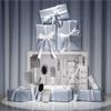 The Belle Brush The Backstage Edit Giftset