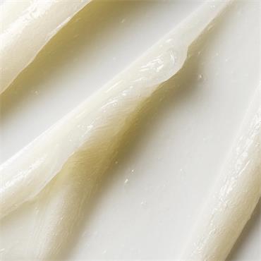 Sculpted Lip Treat Nourishing Balm