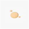 Kash Beauty Miracle Tint Shade 06 Light Warm 