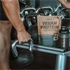 Biotech Vegan Protein Choc Cinnamon 25g