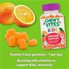 Chewy Vites Kids Immune Support 60 Gummies