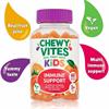 Chewy Vites Kids Immune Support 60 Gummies