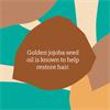 Faith In Nature Jojoba shampoo