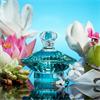 Britney Spears Curious EDP 30ml