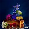 Britney Spears Midnight Fantasy 50ml