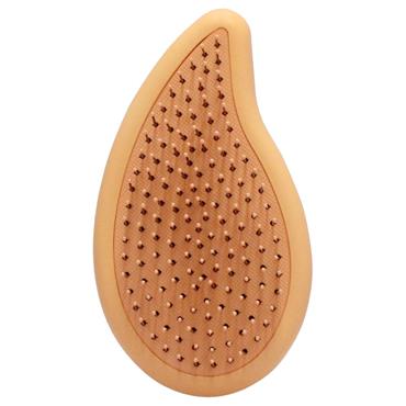 Wet Brush Go Green Palm Detangler