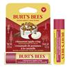 Burts Bees Cinnamon apple Crisp lip