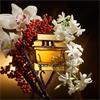 Dolce & Gabbana Edp The One 30ml