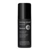 Living Proof Style Lab Blowout Spray