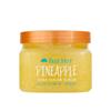 Treehut Pineapple Shea Sugar Scrub