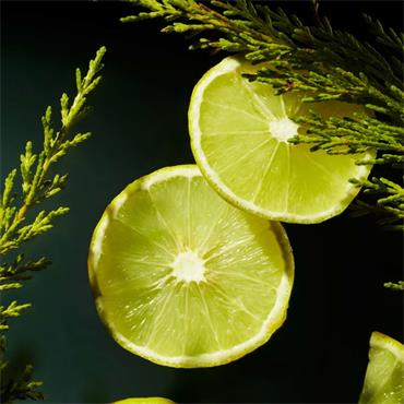 Rituals Homme 24h Anti Perspirant Stick