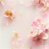Rituals Of Sakura Shampoo 250ml