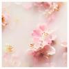 Rituals Sakura Body Lotion Mousse 150ml