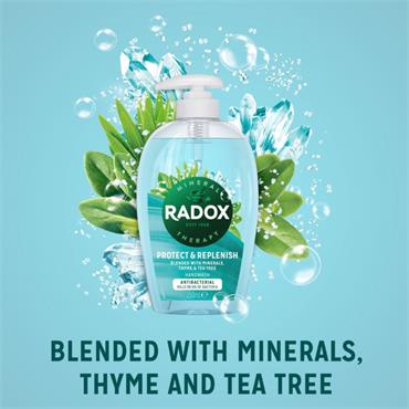 Radox Protect and Replenish Handwash