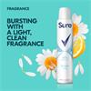 Sure Women Cotton Dry 48h Antiperspirant Deodorant 