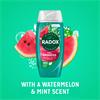 Radox Feel Hydrated Shower Gel 225ml with Watermelon & Mint