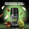 Lynx Lower Body Spray Pear 72 hr 100ml
