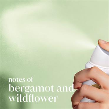 Dove Bridgerton Apa Love & Meadows