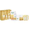Simple Glow Collection 4Pc Giftset