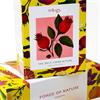 Trilogy Self Care Ritual Gift Set