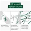 Better You Iron 10 Daily Oral Spray 25ml