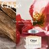 Chloe Intense Edp