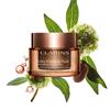 Clarins Extra Firming Night Dry Skin