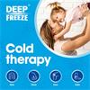 Deep Freeze Patch