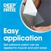 Deep Freeze Patch