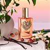Dolce And Gabbana Devotion Intense