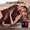 Dolce And Gabbana K Parfum Pour Homme