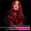Garnier Olia Hair Colour
