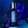 Hugo Boss Bottled Triumph
